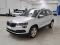 preview Skoda Karoq #0