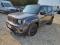 preview Jeep Renegade #0