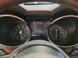 AlfaRomeo 48 ALFA ROMEO STELVIO / 2017 / 5P / SUV 2.0 TURBO BENZINA 280CV AT8 Q4 TI #3