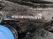 preview BMW 320 #5
