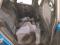preview BMW 220 #5