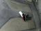 preview Skoda Enyaq #3