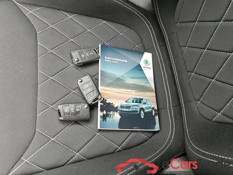 SKODA Karoq 110 kW #6