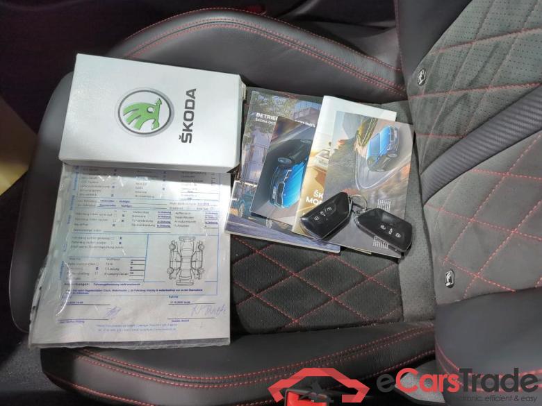 Octavia Combi RS 2.0 TDI 147KW AT7 E6d #3