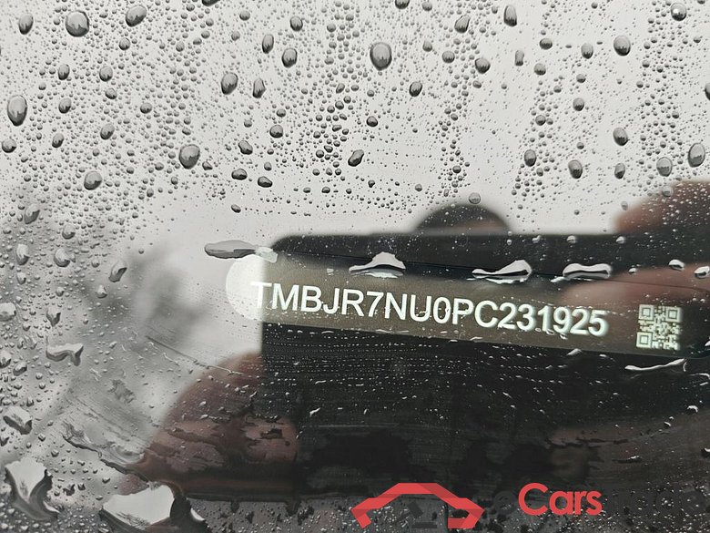 SKODA Karoq 110 kW #3