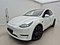preview Tesla Model Y #0