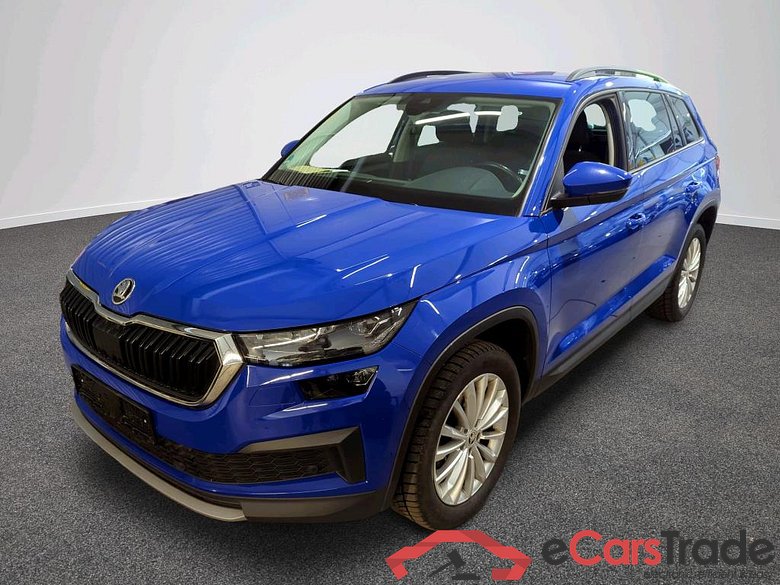 Kodiaq Tour 2.0 TDI 110KW AT7 E6d #1