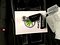 preview Skoda Enyaq #2