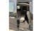 preview Peugeot Partner Tepee #4