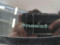 preview Renault Clio #5