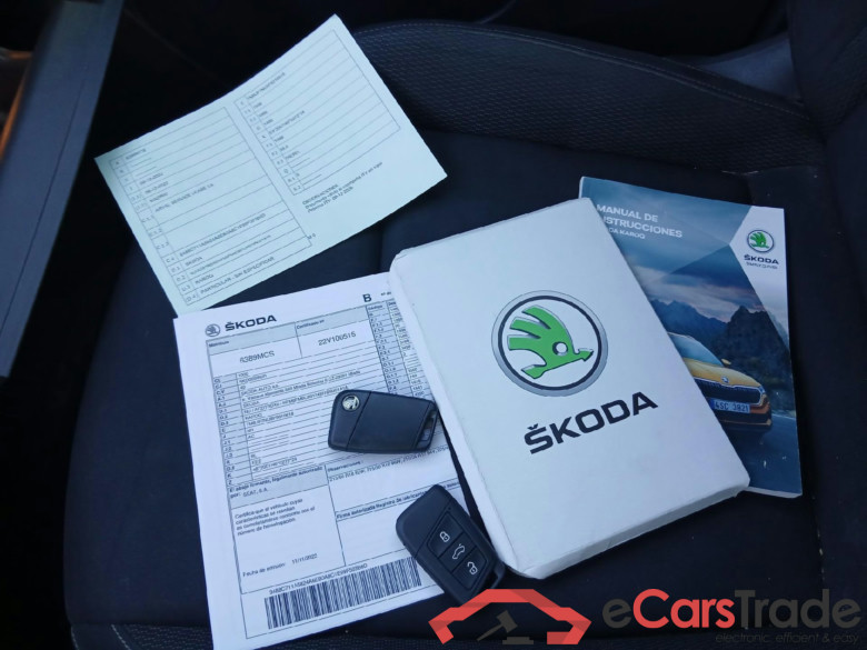Karoq Ambition 2.0 TDI 115CV MT6 E6d #5