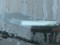 preview Volkswagen Polo #1
