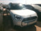 preview Mini Countryman Series #1