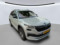 preview Skoda Kodiaq #4