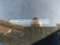 preview Volkswagen Polo #2