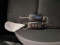 preview Ford Focus #5