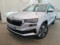 preview Skoda Karoq #0